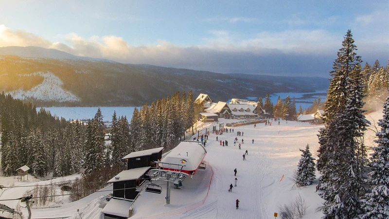 Timber hotel standing on a hillside above a Swedish village and lake